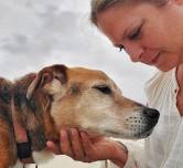 Animal Communication w/Afton Hughes