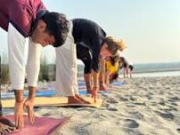 200 Hour Yoga teacher training in India