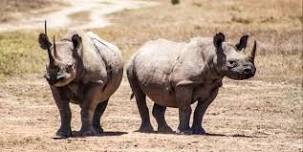 Day Tour to Ol Pejeta Conservancy