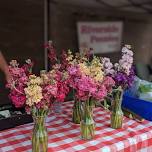 City of Gladstone Farmers Market