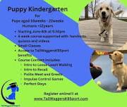 Puppy Kindergarten (dogs age 16 to 22 aged at start of course) (2)