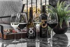 Dynamis Wine Dinner