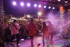 The Possum Drop New Year's Eve Celebration Tallapoosa, GA. Dec. 31, 2024