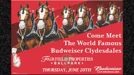 The Budweiser Clydesdales visit the LI Ducks! (pregame event)