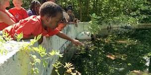 Nature Play Adventure at Mason Mill Park