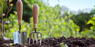 Gardening Series: Vegetables, Herbs, & Organic Gardening