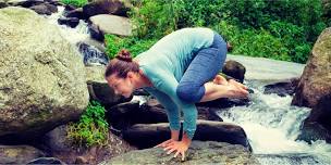 Intro to Arm Balances — CENTER Yoga + Wellness