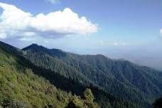 Offbeat Himachal Trek: An Unexplored 35-km Hike through Lower Himalayan Virgin Forests