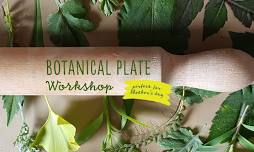 Botanical Plate Workshop