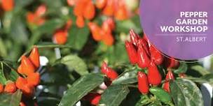 Fiesta Pepper Garden | Salisbury Greenhouse | Enjoy Centre | St. Albert