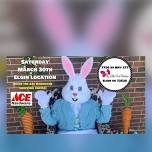 Free pictures with the Easter bunny Elgin location