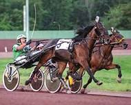 Live Harness Racing - Sunday