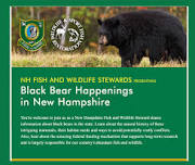 Black Bear Happenings in NH