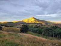 Community Workshop - Hikaroroa Mt Watkin Conservation Group