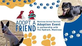 Pet Adoption Event