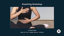 Breathing: The Missing Link to Health and Wellness w/ Diana Perez