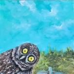 Cape Coral Paint for Wildlife – Burrowing Owl