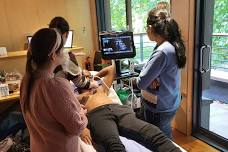 Focused Lung Ultrasound