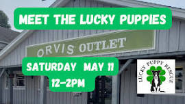 NY- Meet the Lucky Puppies at Orvis