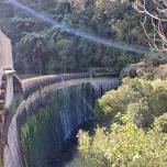 Cannons Point/Birchville Dam Loop Walk