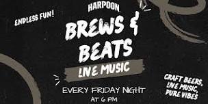 Live Music at Harpoon Brewery