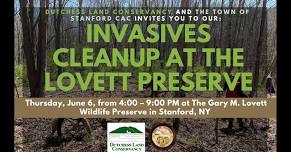 Invasives Cleanup at the Lovett Preserve