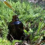 Tincture Making For Personal Use