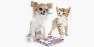 Drive-Up Pet Vaccination & Microchipping Clinic