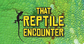 That Reptile Encounter