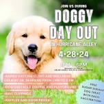 Doggy Day Out at Hurricane Alley Live!