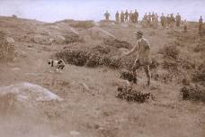 The History of English Springer Spaniel Field Trials on Fishers Island