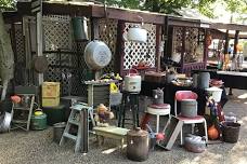 Antiques in the Woods