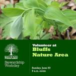 Stewardship Workday at Bluffs Nature Area