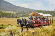 Campfire and S'mores Scenic Wagon Ride