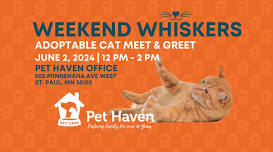 Weekend Whiskers | June Cat Adoption Event