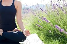 Summer Harvest Series: Yoga at Harrison Lavender