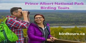 Prince Albert National Park 2-day Birding Tour