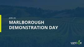 Marlborough 