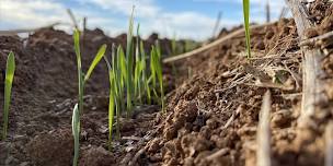 Soils, decision making and what’s next?