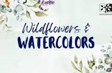 Wildflowers & Watercolors