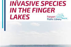 Aquatic Invasive Species and Stewardship in the Finger Lakes Region