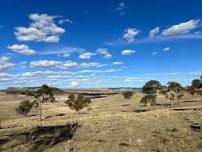 Calculating Carbon - Walcha