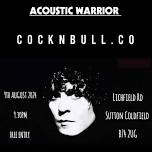 (Birmingham) T.rex Tribute - Acoustic Warrior