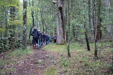 Hawley Bog