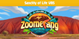 Zoomerang: Vacation Bible School