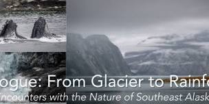 Travelogue: From Glacier to Rainforests – Encounters with the Nature of Southeast Alaska