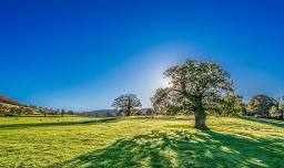 Shade Tree Commission Meeting