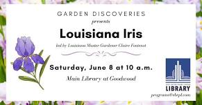 Garden Discoveries - Louisiana Iris