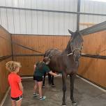 2024 K4 Equestrian Summer Horse Camp Session 1