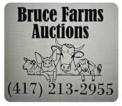 2nd Annual Bruce Farms Swap Meet